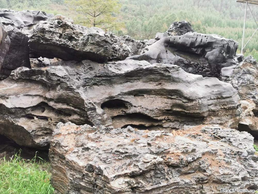 风景石、假山石大量有货，有需要的欢迎联系 - 新手上路 - 绍兴生活社区 - 绍兴28生活网 sx.28life.net