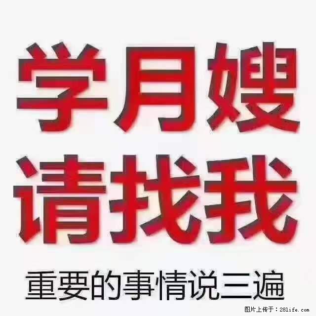 为什么要学习月嫂，育婴师？ - 其他广告 - 广告专区 - 绍兴分类信息 - 绍兴28生活网 sx.28life.net