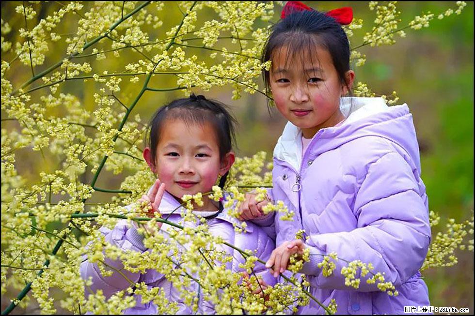 【春天，广西桂林灌阳县向您发出邀请！】米珠山前有片山苍子花在飘香 - 游山玩水 - 绍兴生活社区 - 绍兴28生活网 sx.28life.net