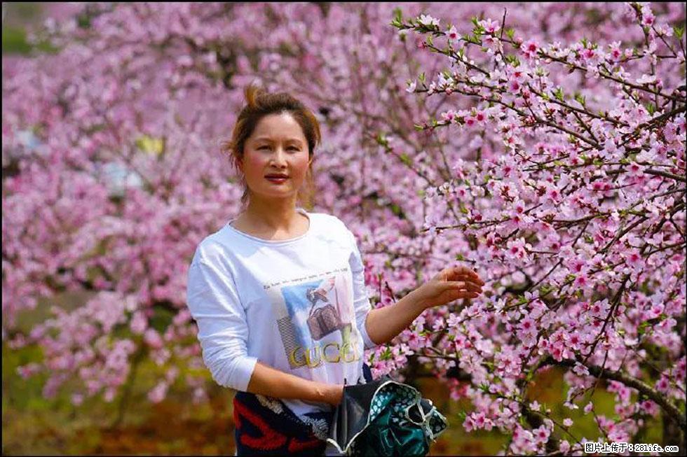 【春天，广西桂林灌阳县向您发出邀请！】官庄村有个醉美的桃花园 - 游山玩水 - 绍兴生活社区 - 绍兴28生活网 sx.28life.net