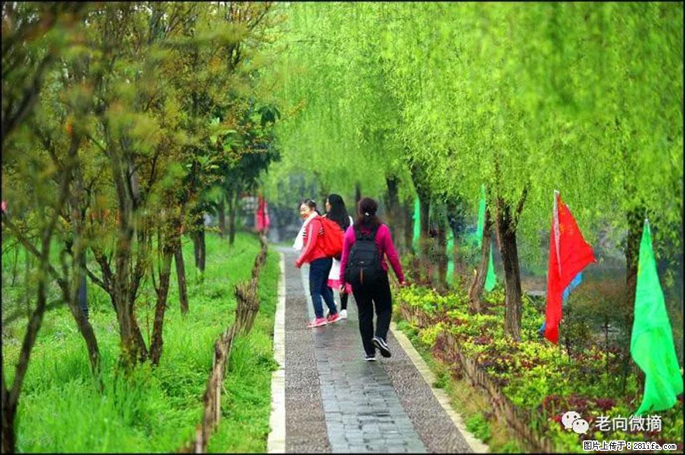 【春天，广西桂林灌阳县向您发出邀请！】江口老街又逢春 - 游山玩水 - 绍兴生活社区 - 绍兴28生活网 sx.28life.net