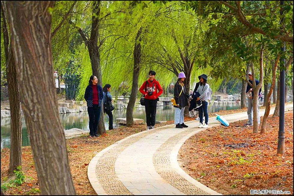 【春天，广西桂林灌阳县向您发出邀请！】江口老街又逢春 - 游山玩水 - 绍兴生活社区 - 绍兴28生活网 sx.28life.net