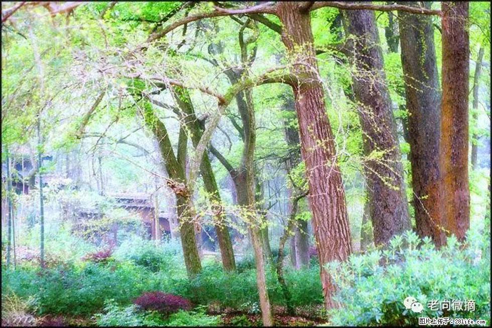 【春天，广西桂林灌阳县向您发出邀请！】在小龙村与春天约会 - 游山玩水 - 绍兴生活社区 - 绍兴28生活网 sx.28life.net