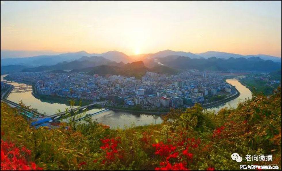 【春天，广西桂林灌阳县向您发出邀请！】登麒麟山，相约映山红 - 游山玩水 - 绍兴生活社区 - 绍兴28生活网 sx.28life.net