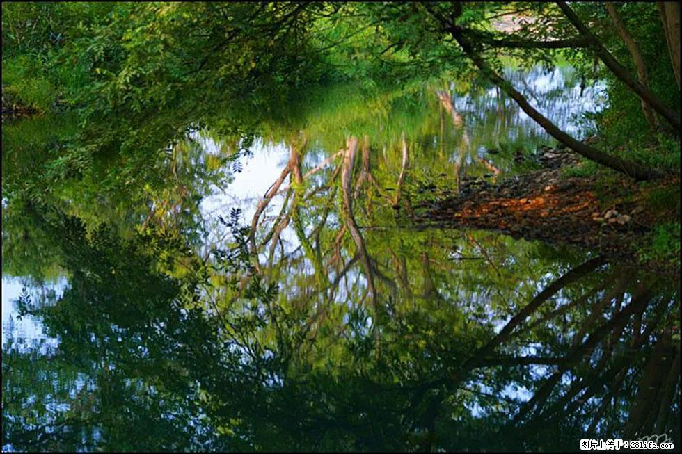 【春天，广西桂林灌阳县向您发出邀请！】熊家寨湿地公园 - 游山玩水 - 绍兴生活社区 - 绍兴28生活网 sx.28life.net