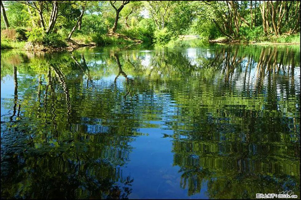 【春天，广西桂林灌阳县向您发出邀请！】熊家寨湿地公园 - 游山玩水 - 绍兴生活社区 - 绍兴28生活网 sx.28life.net