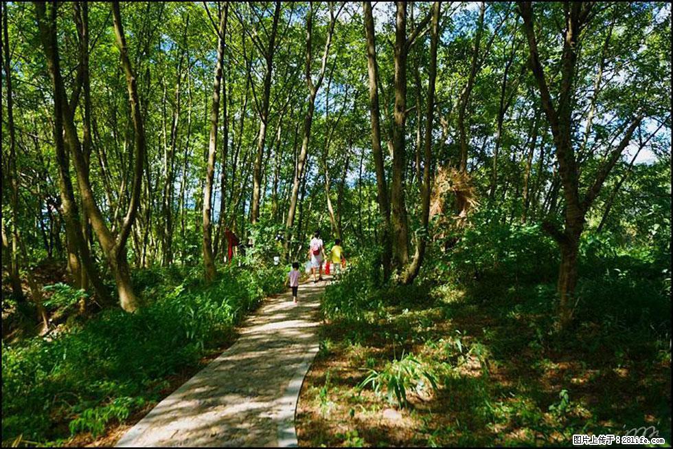 【春天，广西桂林灌阳县向您发出邀请！】熊家寨湿地公园 - 游山玩水 - 绍兴生活社区 - 绍兴28生活网 sx.28life.net