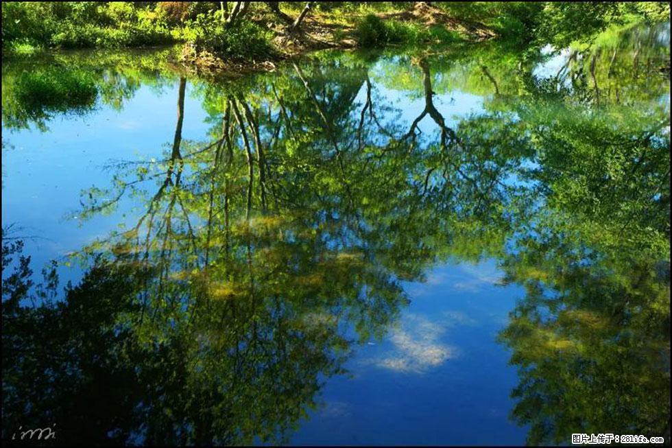 【春天，广西桂林灌阳县向您发出邀请！】熊家寨湿地公园 - 游山玩水 - 绍兴生活社区 - 绍兴28生活网 sx.28life.net