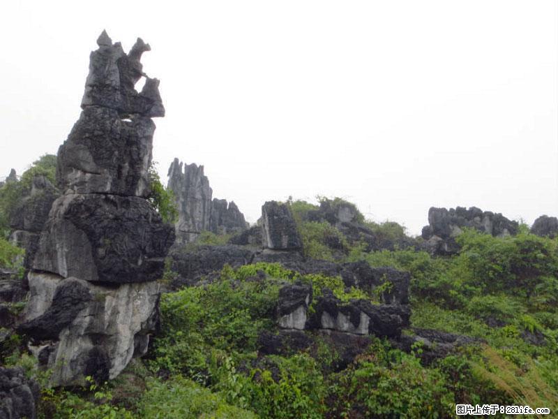 桂林旅游名城景点：灌阳文市石林 - 游山玩水 - 绍兴生活社区 - 绍兴28生活网 sx.28life.net