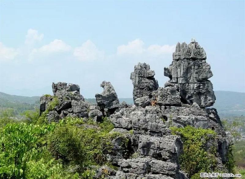 桂林旅游名城景点：灌阳文市石林 - 游山玩水 - 绍兴生活社区 - 绍兴28生活网 sx.28life.net