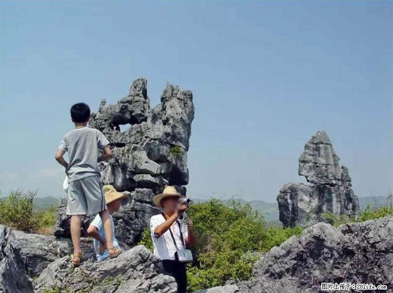 桂林旅游名城景点：灌阳文市石林 - 游山玩水 - 绍兴生活社区 - 绍兴28生活网 sx.28life.net