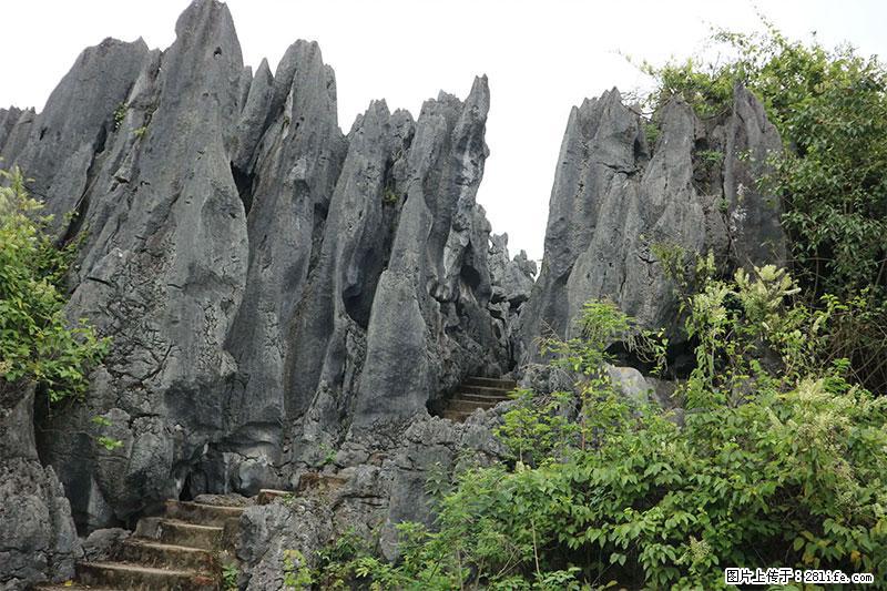 桂林旅游名城景点：灌阳文市石林 - 游山玩水 - 绍兴生活社区 - 绍兴28生活网 sx.28life.net