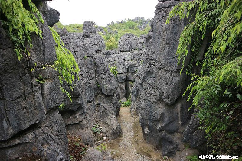 桂林旅游名城景点：灌阳文市石林 - 游山玩水 - 绍兴生活社区 - 绍兴28生活网 sx.28life.net