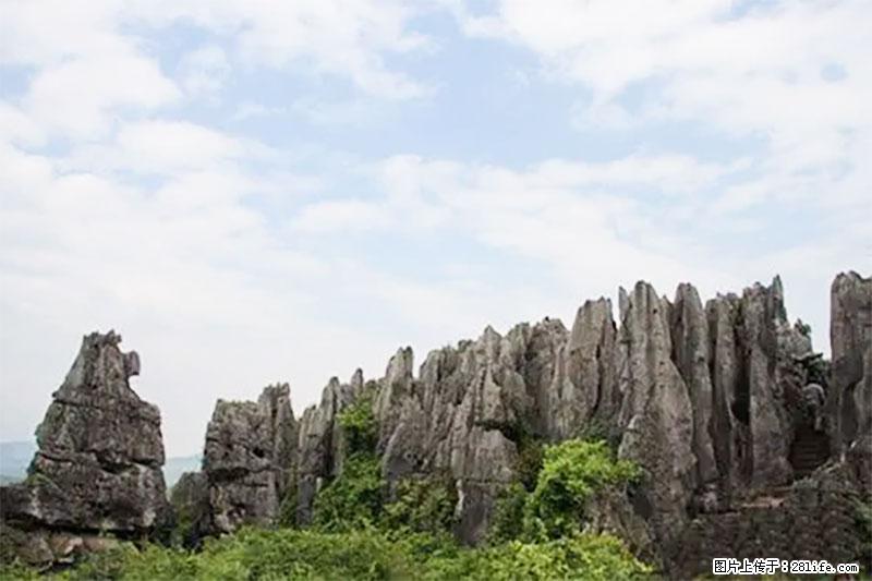 桂林旅游名城景点：灌阳文市石林 - 游山玩水 - 绍兴生活社区 - 绍兴28生活网 sx.28life.net