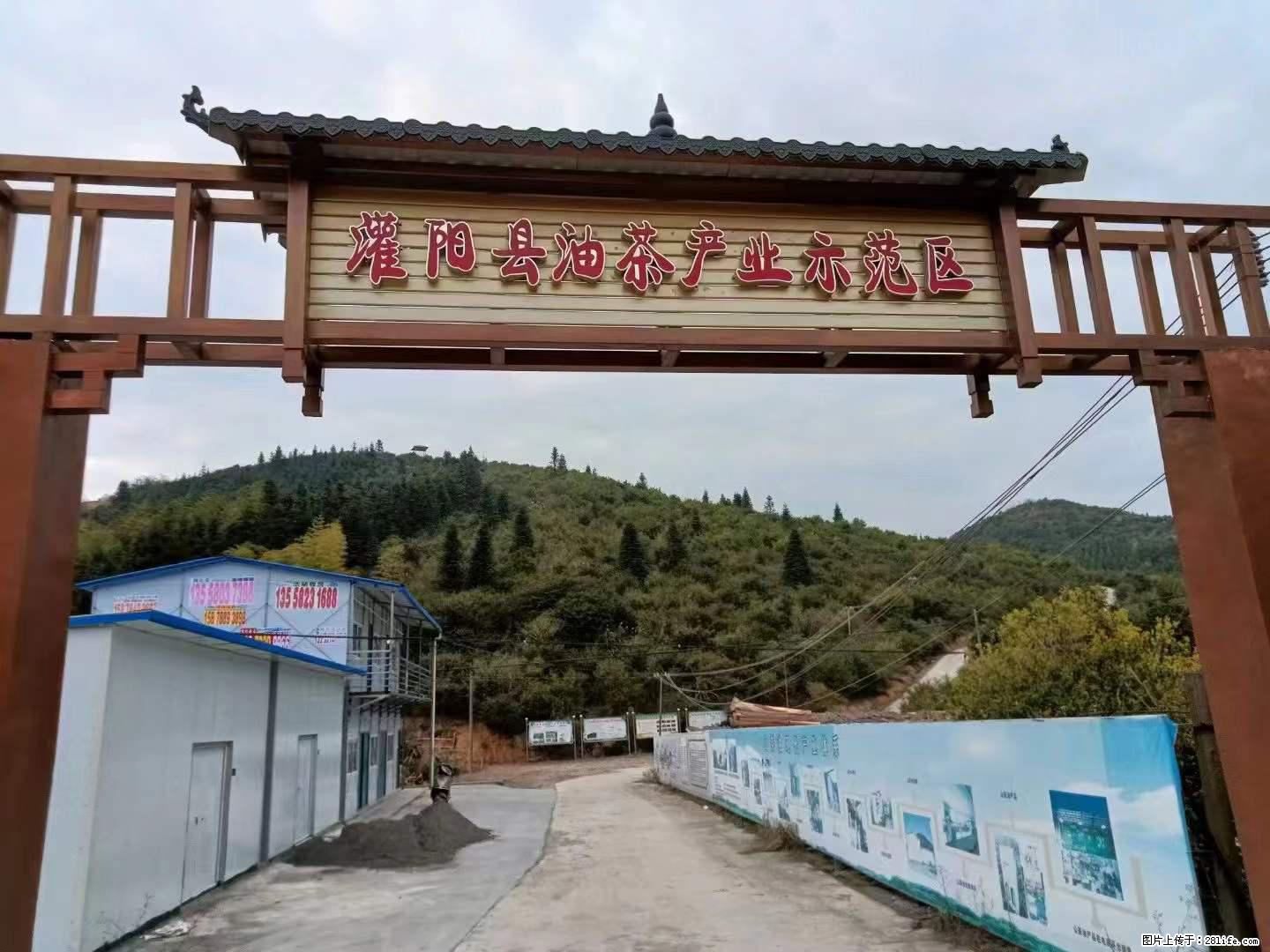 【灌阳县油茶产业示范区】一个有着充实的精神生活的人，对待身外之物自会有一种淡泊的态度 - 土特产 - 饮食特产 - 绍兴分类信息 - 绍兴28生活网 sx.28life.net