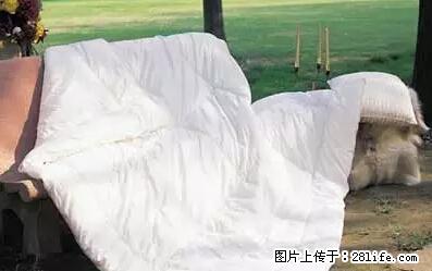 被子有异味？只要这样做，比晒太阳还强100倍！ - 家居生活 - 绍兴生活社区 - 绍兴28生活网 sx.28life.net