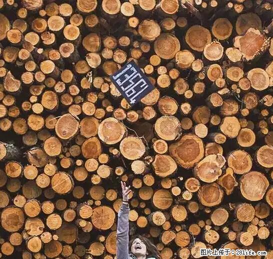 辞掉工作周游世界？现在他们在洗厕所…… - 游山玩水 - 绍兴生活社区 - 绍兴28生活网 sx.28life.net