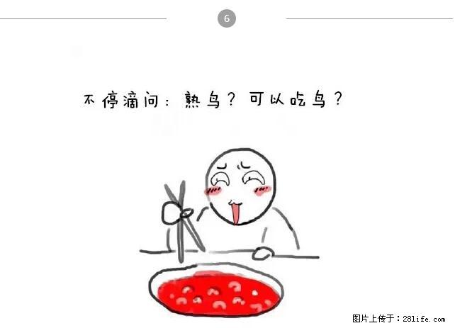 千万不要和这9种哈卵一起吃火锅！ - 美食天地 - 绍兴生活社区 - 绍兴28生活网 sx.28life.net