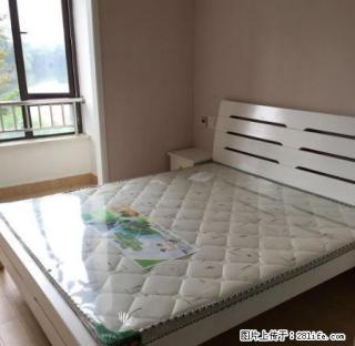 胜利西路阳明中学对面 - 绍兴28生活网 sx.28life.net