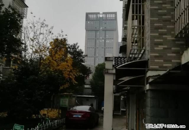 房子彩光好，三个房间都朝南，四周都是商业圈， 都比较方便。 - 房屋出租 - 房屋租售 - 绍兴分类信息 - 绍兴28生活网 sx.28life.net