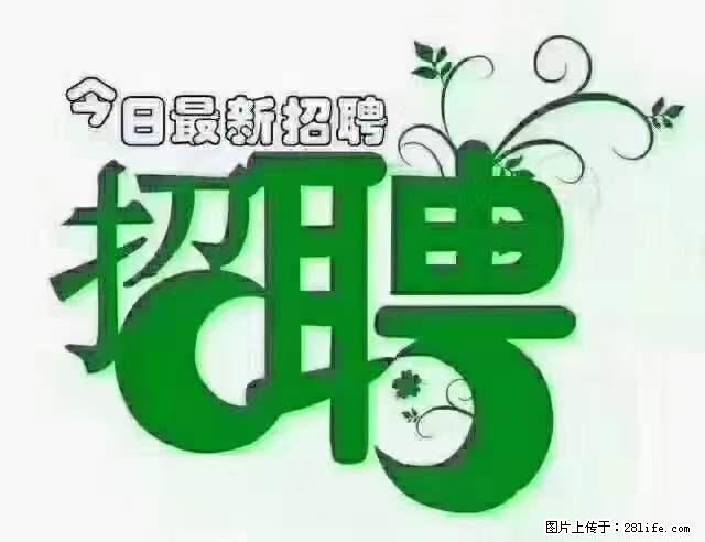 【招聘摄像师】待遇：试用期6000元/月，转正7000元/月+五险一金+餐补+节日福利+奖金 - 其他招聘信息 - 招聘求职 - 绍兴分类信息 - 绍兴28生活网 sx.28life.net