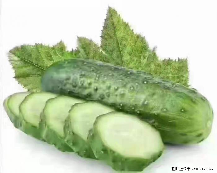 【生活小常识】吃黄瓜的好处 - 生活百科 - 绍兴生活社区 - 绍兴28生活网 sx.28life.net