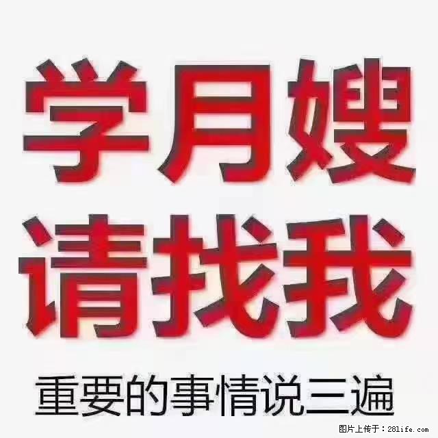 【招聘】月嫂，上海徐汇区 - 职场交流 - 绍兴生活社区 - 绍兴28生活网 sx.28life.net