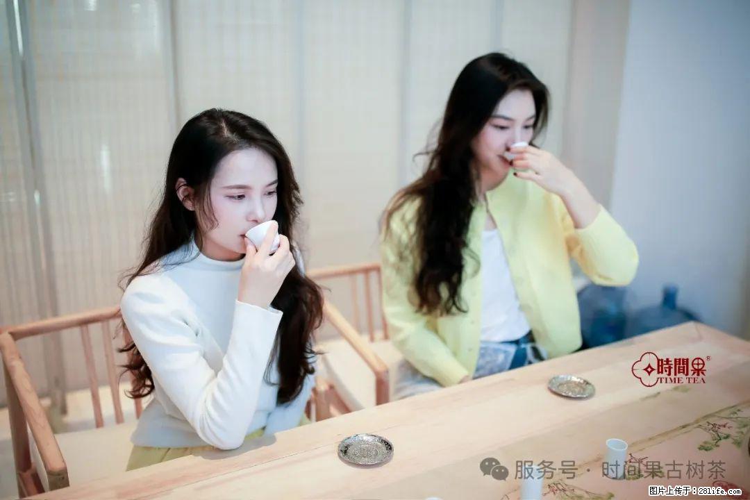 时间果百年古树龙珠普洱生茶 - 购物交流 - 绍兴生活社区 - 绍兴28生活网 sx.28life.net