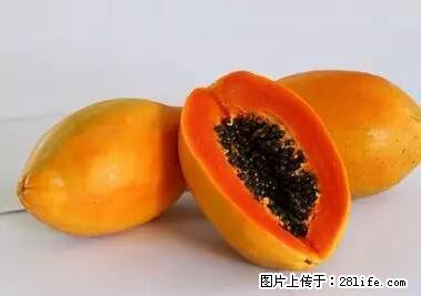 晕车、脚气、牙齿变黄、皮肤粗糙？学会这些三分钟搞定！ - 绍兴生活资讯 - 绍兴28生活网 sx.28life.net