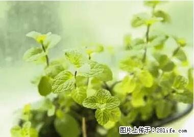 晕车、脚气、牙齿变黄、皮肤粗糙？学会这些三分钟搞定！ - 绍兴生活资讯 - 绍兴28生活网 sx.28life.net