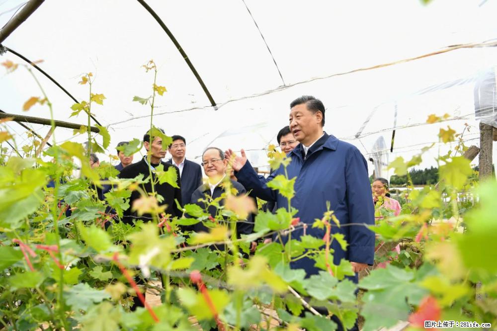 习近平赴广西考察调研 - 绍兴生活资讯 - 绍兴28生活网 sx.28life.net