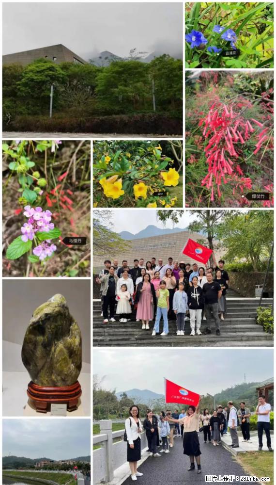 “粤灌文化 美好生活”油茶文化主题活动在广东深圳成功举办 - 绍兴生活资讯 - 绍兴28生活网 sx.28life.net