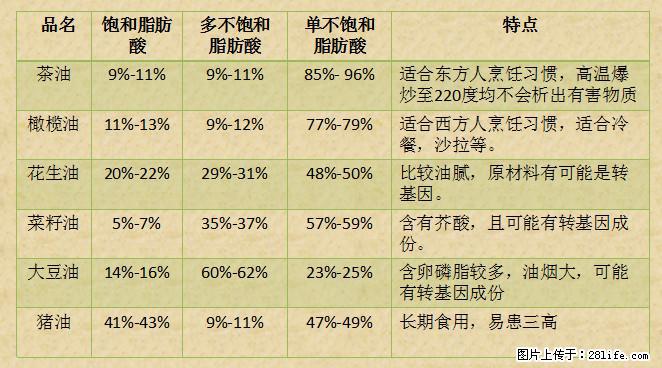 揭秘茶油的5大核心营养成分！被称为人体健康的“守护盾”！ - 绍兴生活资讯 - 绍兴28生活网 sx.28life.net