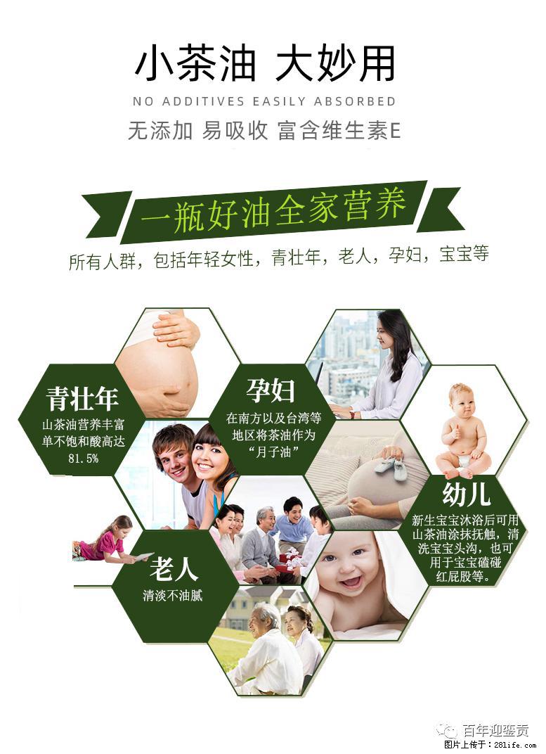 世界没有真相,只有认知,最好的食用油是中国的山茶油! - 绍兴生活资讯 - 绍兴28生活网 sx.28life.net