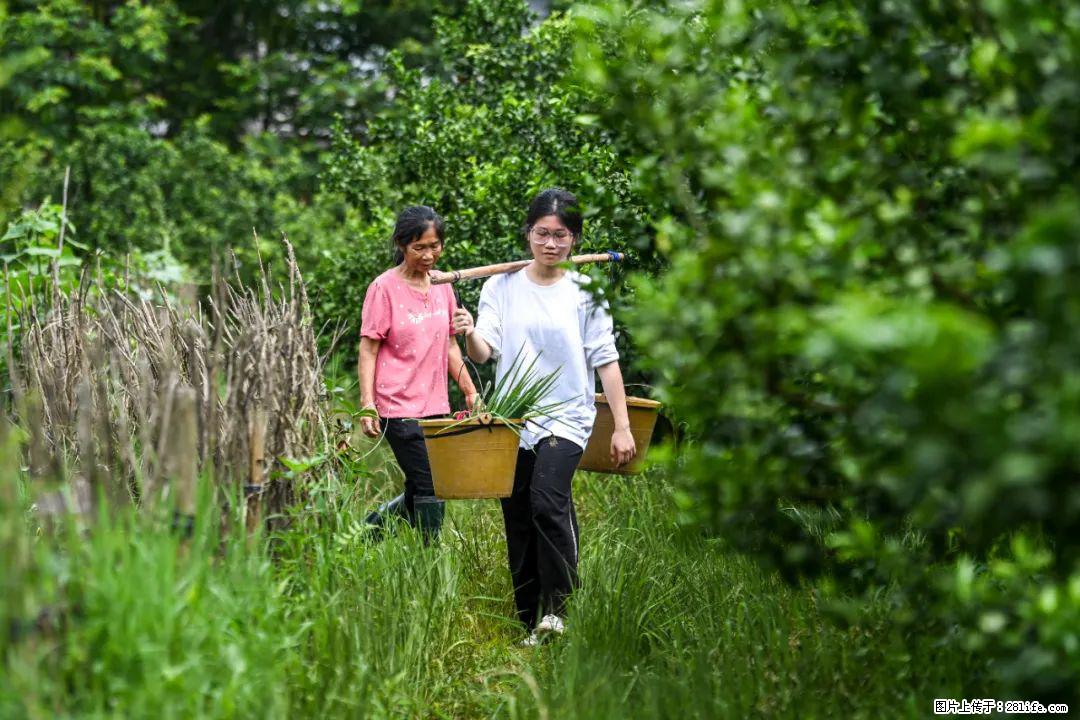 全网追的“扁担女孩”，找了一份暑假工，时薪12元 - 绍兴生活资讯 - 绍兴28生活网 sx.28life.net
