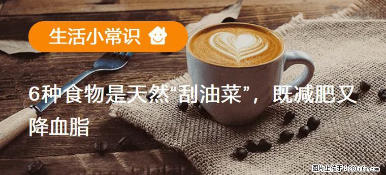 【生活小常识】6种食物是天然“刮油菜”，既减肥又降血脂 - 绍兴生活资讯 - 绍兴28生活网 sx.28life.net