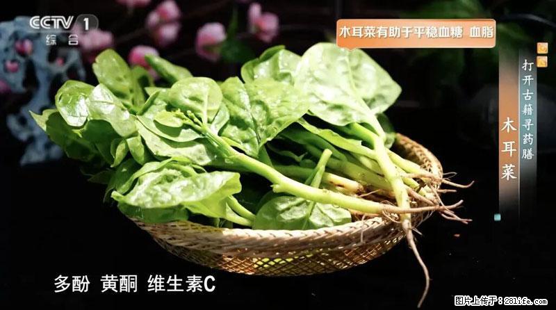 比牛奶补钙还厉害！凉血解毒、稳血糖...这菜冬天必吃，很多人却当草 - 绍兴生活资讯 - 绍兴28生活网 sx.28life.net