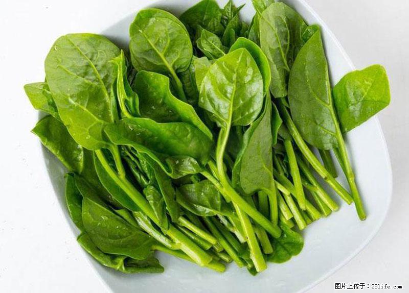 这些蔬菜是“天然钙片”，这6种被医生重点推荐 - 绍兴生活资讯 - 绍兴28生活网 sx.28life.net