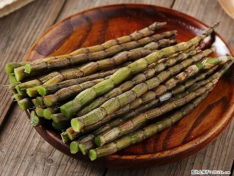 铁皮石斛的作用与功能主治 - 绍兴生活资讯 - 绍兴28生活网 sx.28life.net